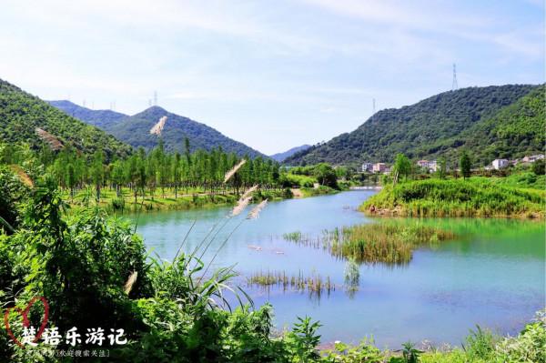 寧波市這個水庫被譽為北侖明珠,可以露營和玩水,還可欣賞紅杉林 寧波市這個水庫被譽為北侖明珠,可以露營和玩水,還可欣賞紅杉林