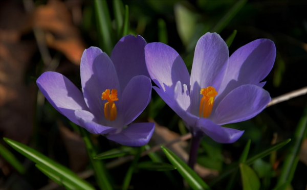 兜裡真正有錢的人，其實很“狠”