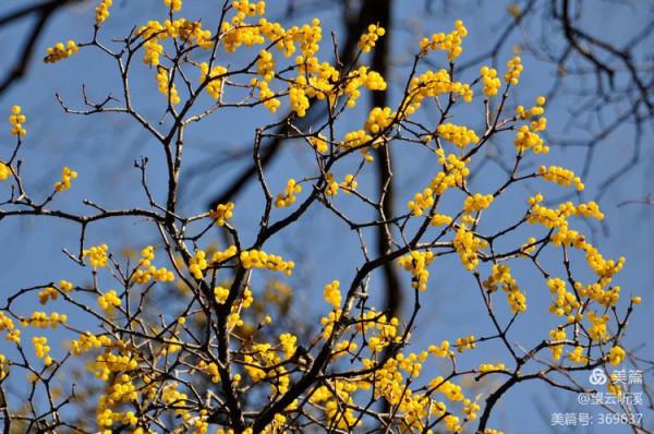 乘坐西峰索道上華山