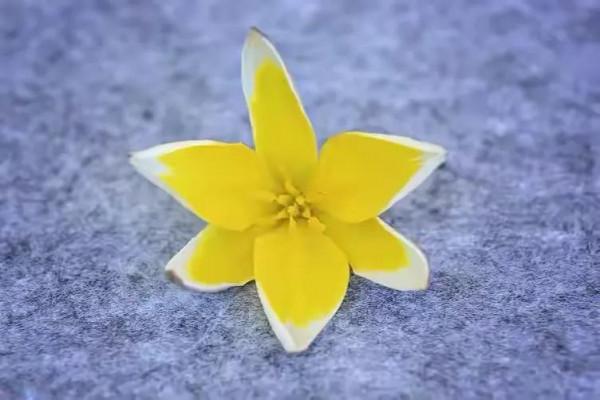 訂婚第三天，男子突然反悔、不願再娶：她一家人真的太&OpenCurlyDoubleQuote;有心機&rdquo;