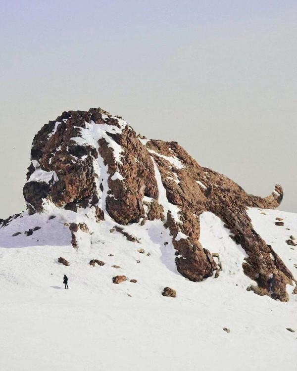 選擇比努力重要，最簡單的一個選擇法