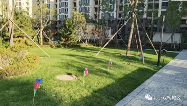 剛剛交付!走入雙橋這個準商品房新小區內部 剛剛交付!走入雙橋這個準商品房新小區內部