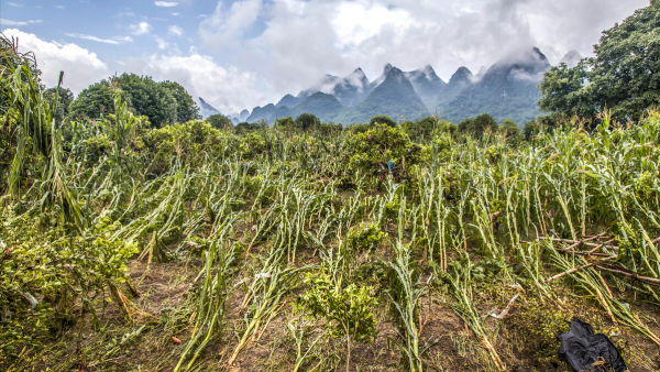時間真的存在嗎？為什麼年齡越大感覺時間過得越快？