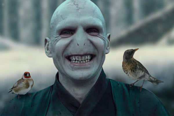 伏地魔只能他來演!拉爾夫·費因斯:“我演自己想演的角色” 伏地魔只能他來演!拉爾夫·費因斯:“我演自己想演的角色”