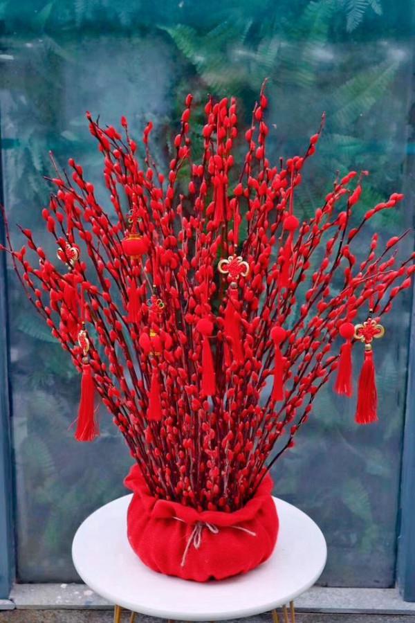 馬上就要過年了,還在為買什麼年宵花發愁嗎?推薦36種供你參考 馬上就要過年了,還在為買什麼年宵花發愁嗎?推薦36種供你參考