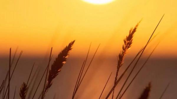 為什麼不建議夫妻一起外出打工?身邊真實案例 為什麼不建議夫妻一起外出打工?身邊真實案例