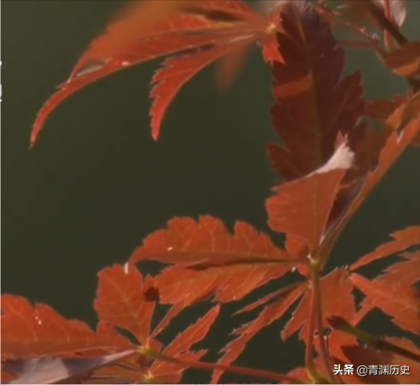 廣西女子20年賺三千萬，弟弟要三百萬未果，父親：不給斷絕關係