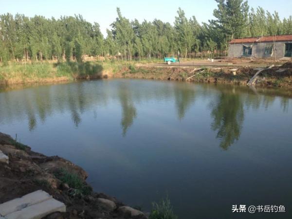 從開放垂釣到禁釣僅一週，塘主被熟餌釣怕了！釣友：這餌料屬實牛