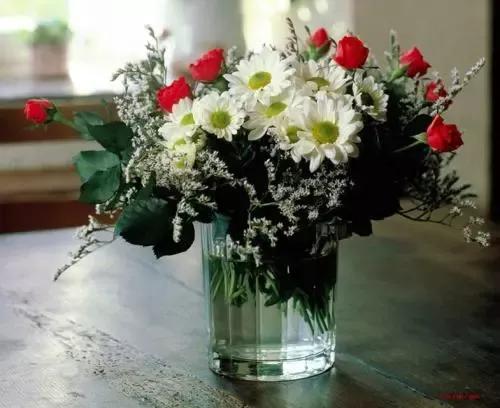 優雅插花，賞心悅目