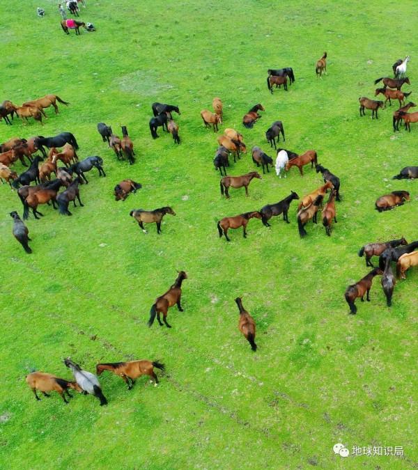 甘肅的“甘”究竟是哪裡？