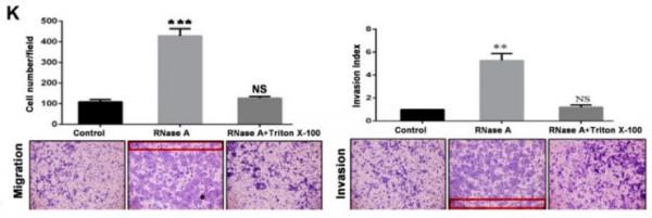 中國醫科大學附屬第四醫院等聯合發表的高分論文因圖片重疊遭質疑