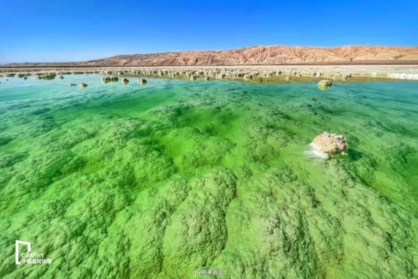 青海最美公路非它莫屬！被評為新秘境的極致風光，這條線帶你走起