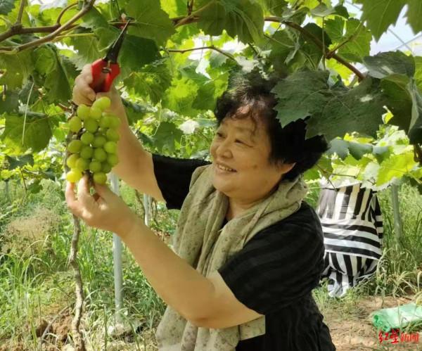 魯獎詩人傅天琳因病去世,享年76歲 魯獎詩人傅天琳因病去世,享年76歲