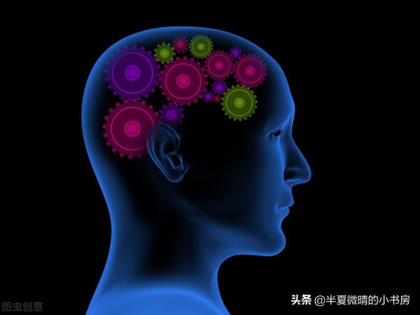 提高專注力、加強記憶、快速閱讀，這些技能你也能做到