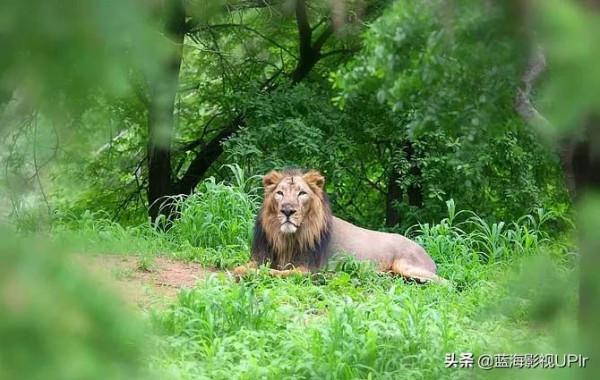 希望‖絕處逢生,永不放棄 希望‖絕處逢生,永不放棄