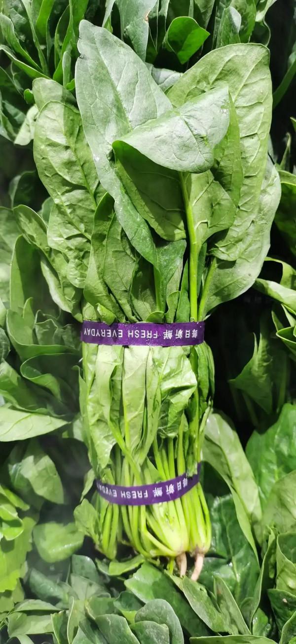 蒜你狠,姜你軍,又來菠你皮 蒜你狠,姜你軍,又來菠你皮