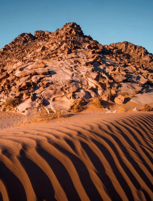 成年人玩得這麼野，小心把命都玩丟了