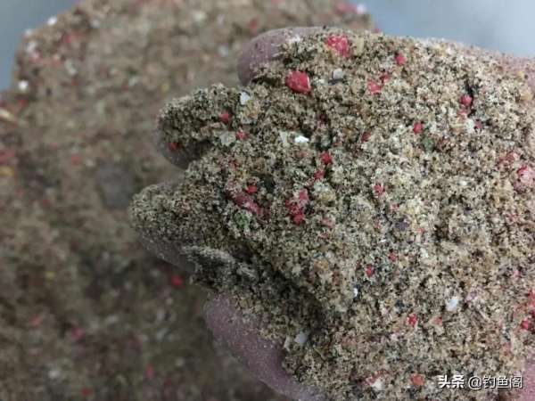 用菜籽餅做基礎餌，好用又省錢，這樣開出的餌專釣大鯽大鯉