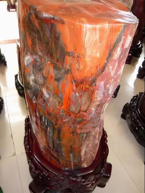 木化石，億萬年前的遺世孤品