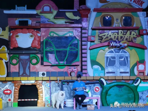 北京新開一家動物園,可以和老虎共進午餐 北京新開一家動物園,可以和老虎共進午餐