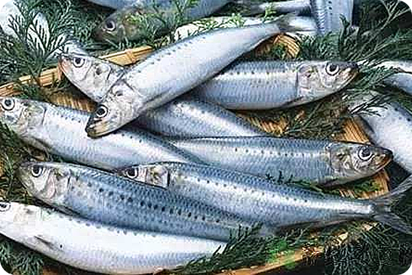 這種生物吞嚥空氣就能放屁，用屁聲與同伴交流