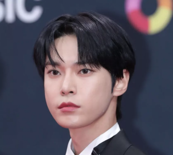 好多整容臉！外網曝韓國頒獎禮生圖，明星動鼻子後遺症太明顯