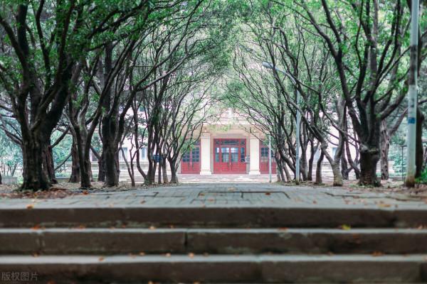 大學入伍，當了兩年義務兵後退役了，返校之後該做哪些工作？