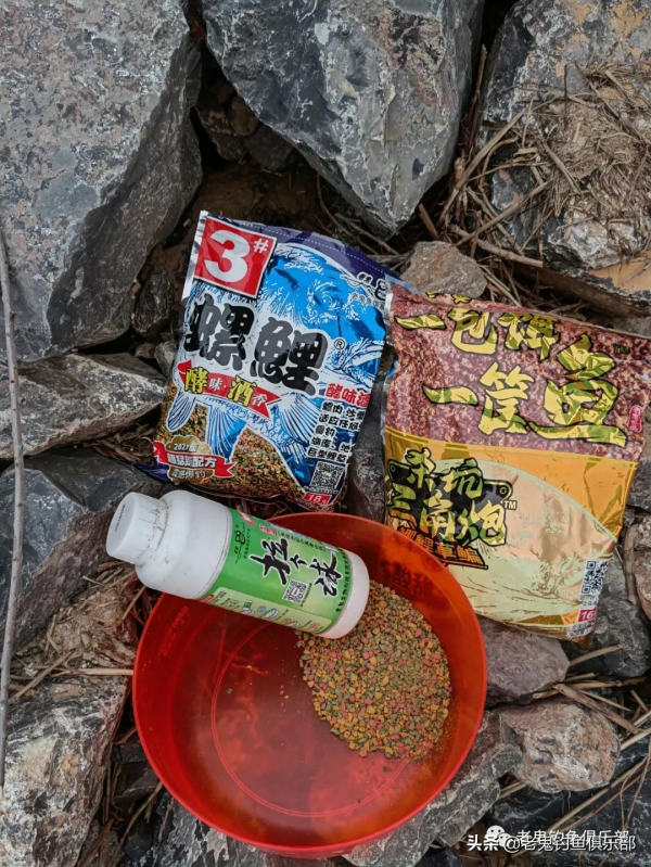 三角炮配螺鯉,釣黃河大鯉魚 三角炮配螺鯉,釣黃河大鯉魚