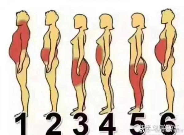 關於減肥，我有這些知識可以分享（沒有廣告）