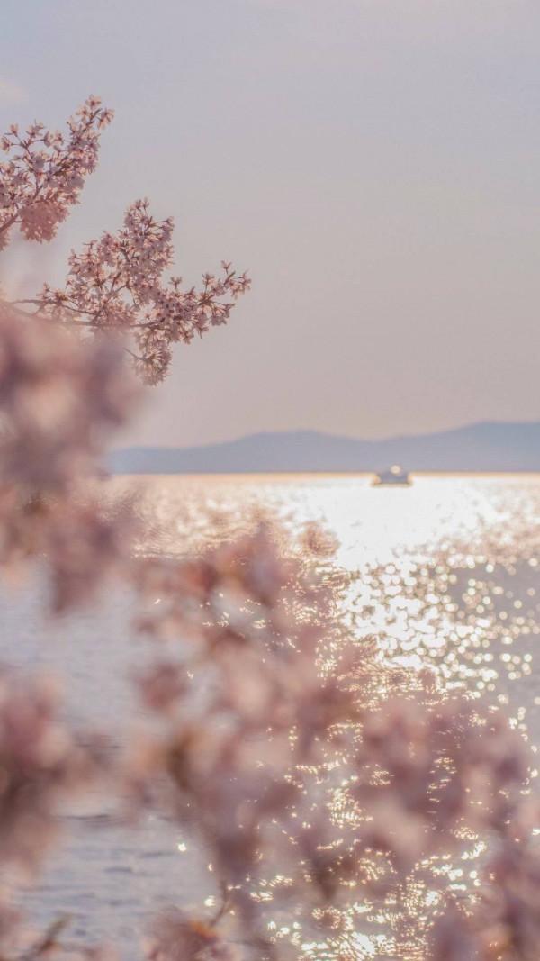 習慣並不等於是愛好