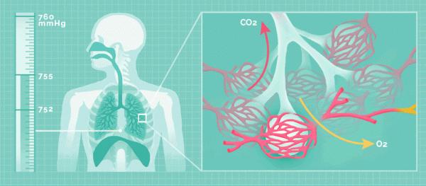 大海那麼深,那麼跨海大橋的橋墩是怎麼打下去的呢? 大海那麼深,那麼跨海大橋的橋墩是怎麼打下去的呢?