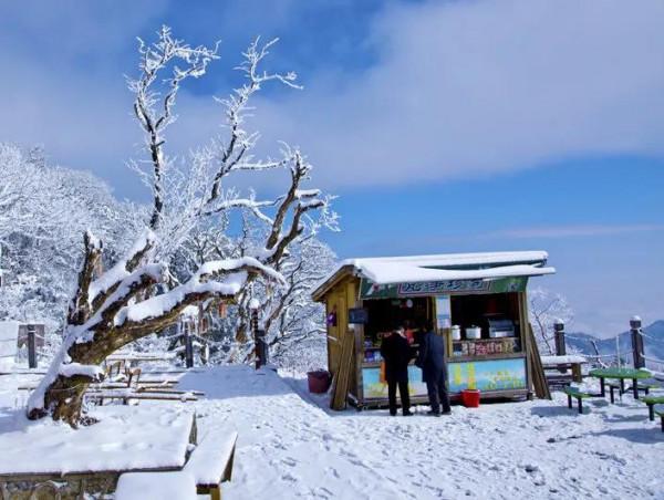 大美梵淨山 猶如仙境 煙霧繚繞