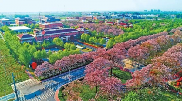 越獄、打仗、搞發明，焦裕祿到底有多猛？