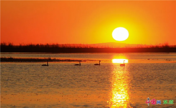 帶你的心靈去遠方！雲遊“醉美天堂”額侖草原（純美組圖）