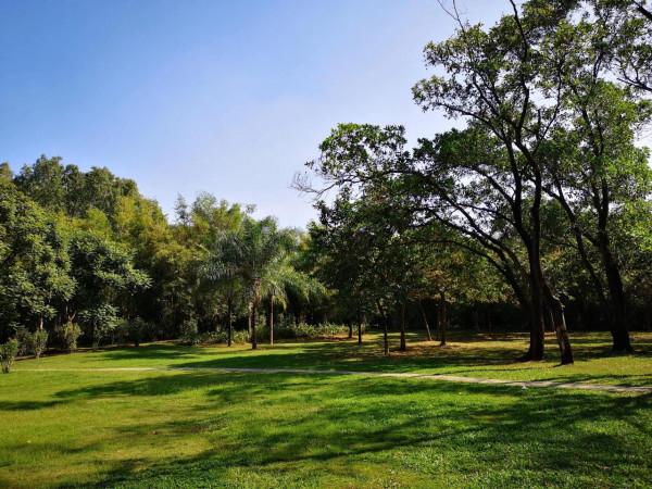 專家說：家裡要多通風