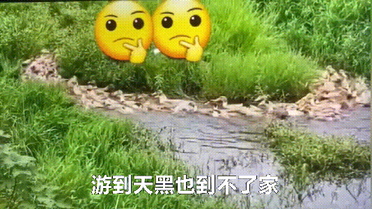 眼力測試！如果你看到的是一群人在游泳，那趕緊去看醫生吧