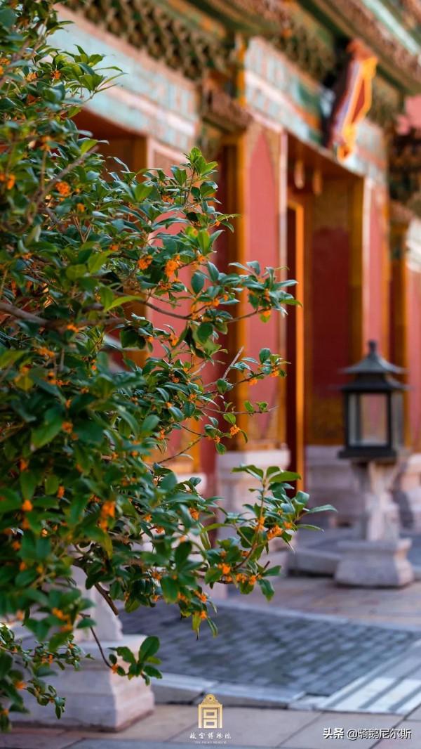 驚豔了時光，尋找故宮之美