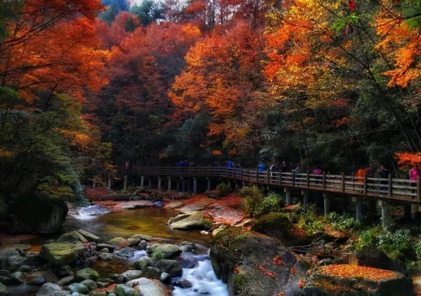 11月，國內這9個絕美山水之地，美成了一幅畫！隨手一拍都是桌布