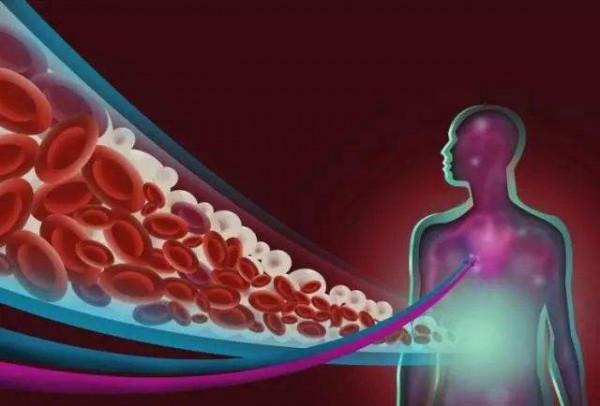 脾胃不好的人，更容易患上高血脂