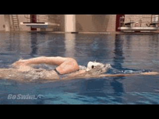 爬泳動作,五個頭部和手部最容易出現的常見錯誤問題 爬泳動作,五個頭部和手部最容易出現的常見錯誤問題