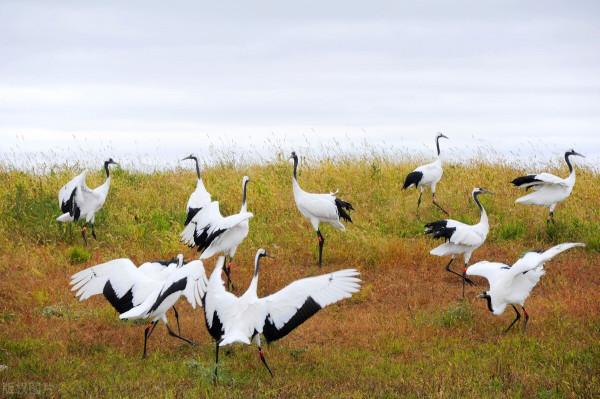 旅遊的壞處 旅遊的壞處