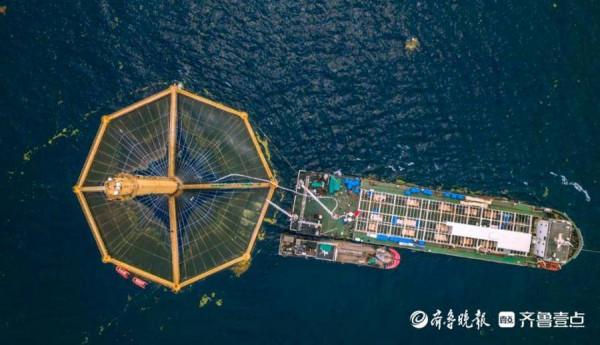 山東經略海洋中的“隱形冠軍”：打破國外壟斷，帶動百億市場