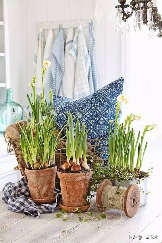 一枝插花,驚豔一家 一枝插花,驚豔一家