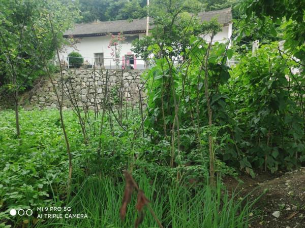 忘掉了時光，怎麼會快快老去？