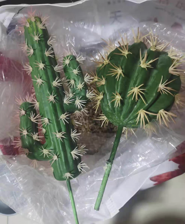 臘月買花，8種花白送都別要，養不活，還惹一肚子氣