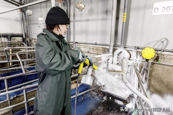 放心的豬肉,從正確的圈舍清潔程式開啟 放心的豬肉,從正確的圈舍清潔程式開啟