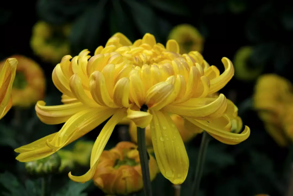 中國古今十之最,長見識了! 中國古今十之最,長見識了!