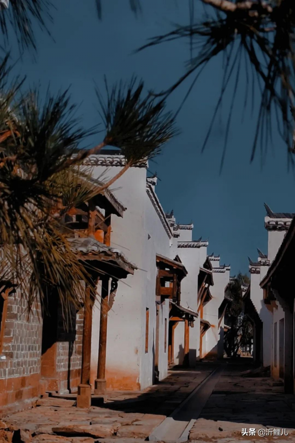 觀唐溫泉×山住茶:古風裡的一杯新制茶 觀唐溫泉×山住茶:古風裡的一杯新制茶