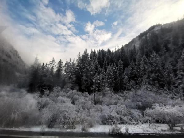 九寨溝的第一場雪 晶瑩剔透 恍若進入了童話世界