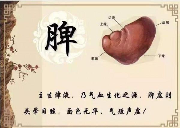 &OpenCurlyDoubleQuote;雙下肢發涼&rdquo;，二百餘劑中藥搞不定，我只需要三劑